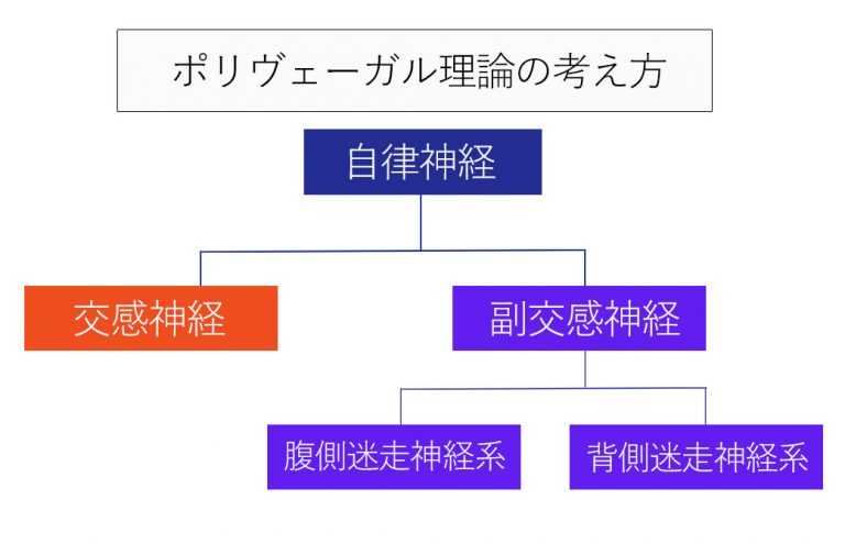 ポリヴェーガル理論