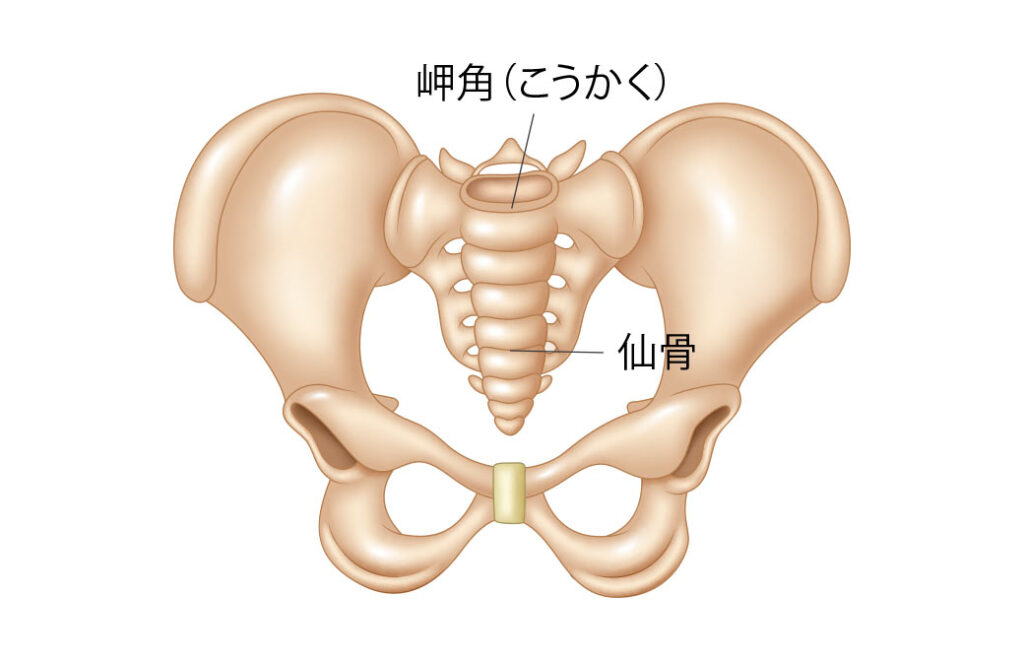 岬角（こうかく）